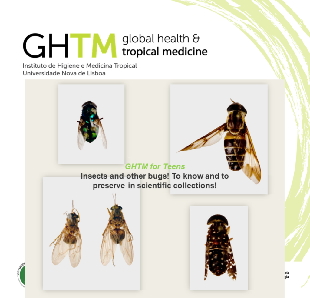 GHTM for teens - Bugs Fliesa