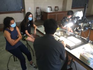 GHTM for teens - Bugs Filipe lab