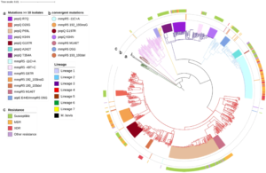 Tuberculosis' drug resistance - Genetic diversity of candidate loci linked to Mtuberculosis resistance