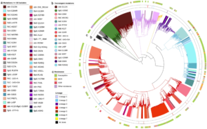 Genetic diversity of candidate loci linked to MtuberculosisFig3